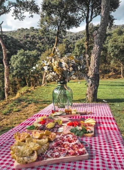 Masia Can Castellar Sant Iscle De Vallalta Dış mekan fotoğraf